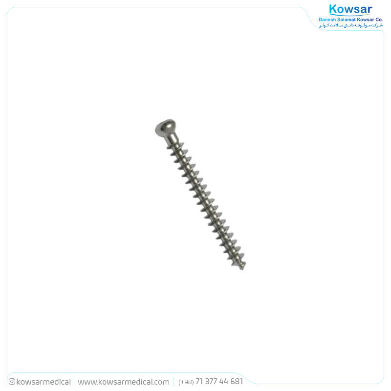 Cancellous Screw