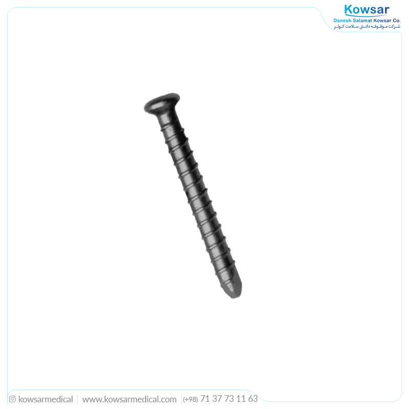 Interloking Bolt Screw