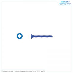 Screw