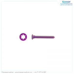 Screw