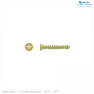 Screw