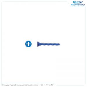 Screw